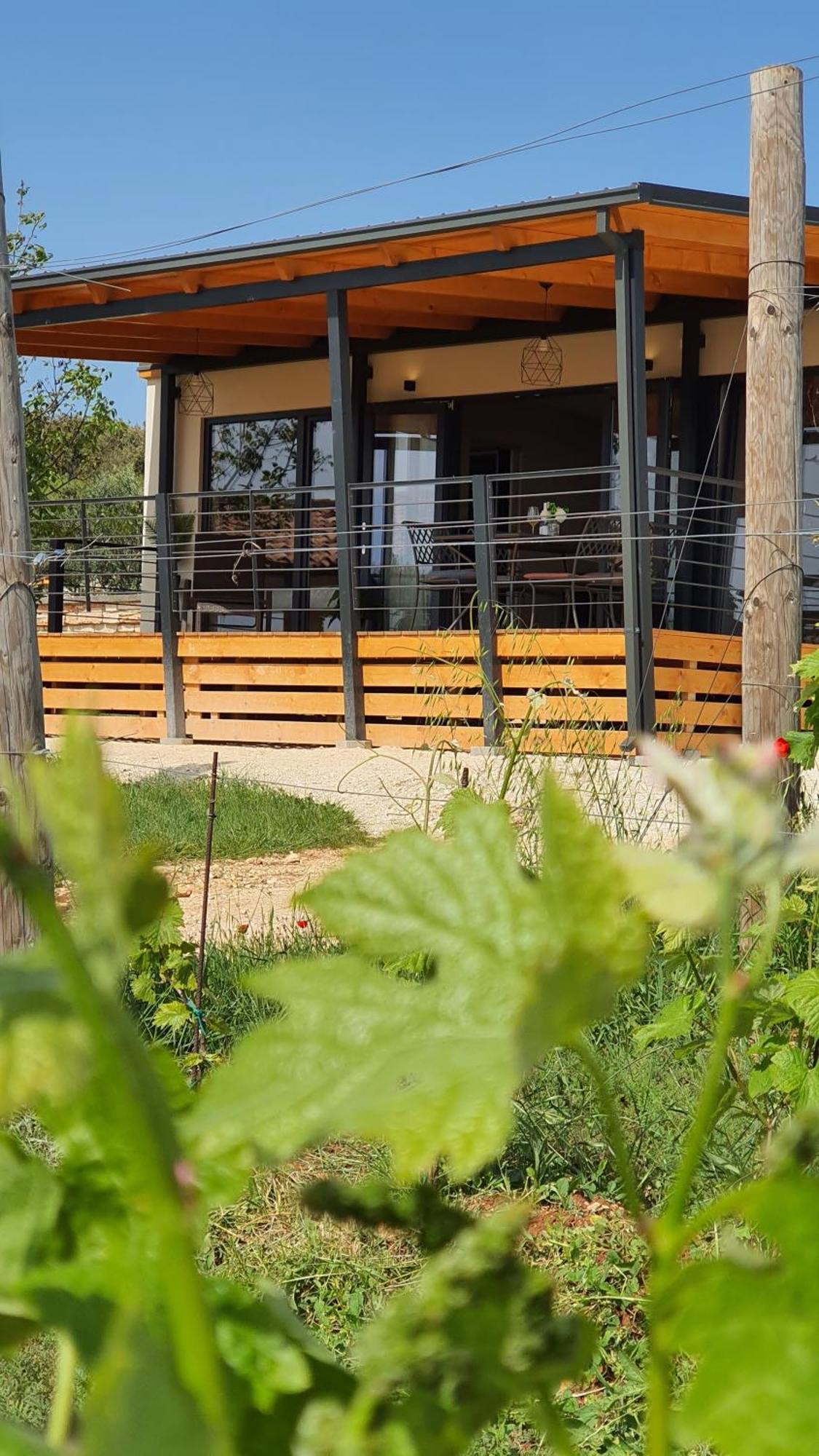 Collis Winery - Family & Friends - Mobilhome روفينج المظهر الخارجي الصورة